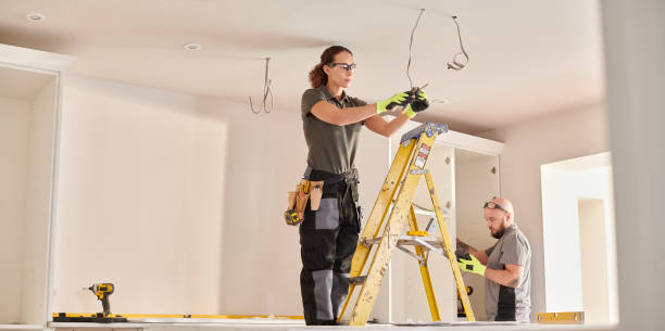 Best Electric Panel Repair  in Kimberling City, MO